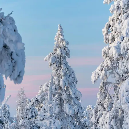 公寓 Moonlight 211 By In Lapland 列维